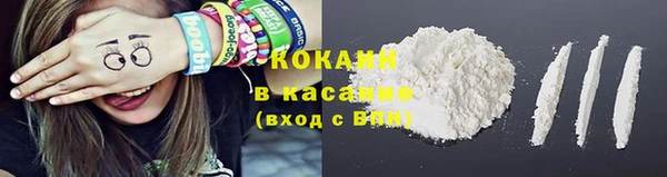 ГАЛЛЮЦИНОГЕННЫЕ ГРИБЫ Алзамай