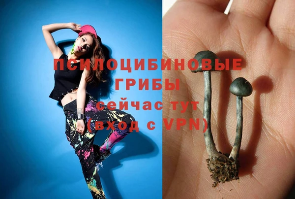 гидра Алексин