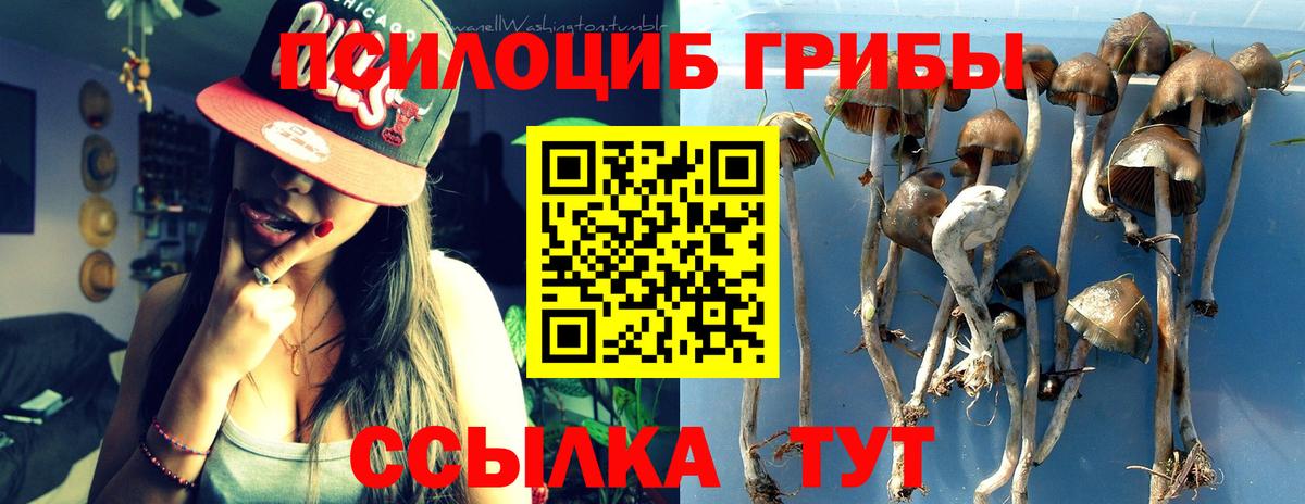 хочу   Псилоцибиновые грибы MAGIC MUSHROOMS  Вход с VPN  Галлюциногенные грибы Psilocybine cubensis  Шатура 