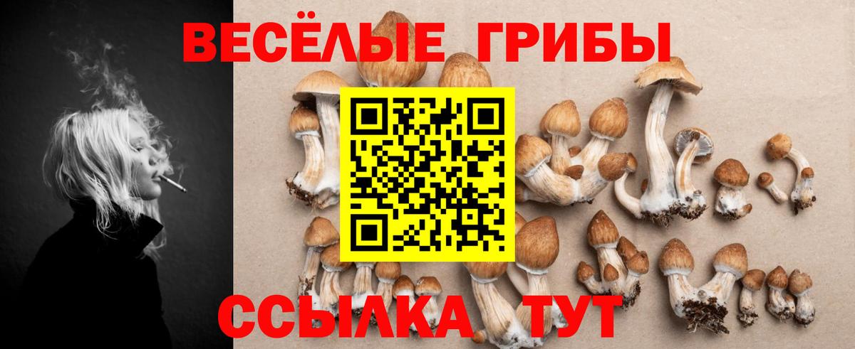 Галлюциногенные грибы Cubensis Шатура
